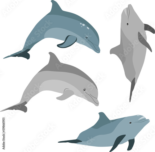 Tableau sur toile Common bottlenosed dolphin vector pisture collection