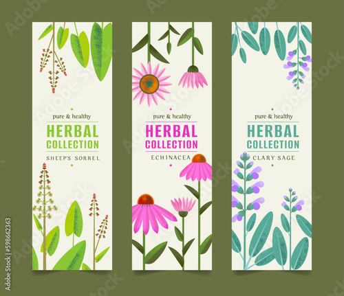 Organic Collection, Eco Shop, Natural Cosmetic Store with Premium Quality Cards or Posters Set. Selling Products Advertisement. Natural Design with Leaves in Different Colors. Herbs.