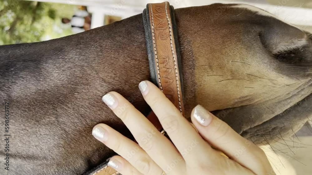 Majestic brown horse posing at the ranch Generative AI Majestic brown horse posing at the ranch Generative AI