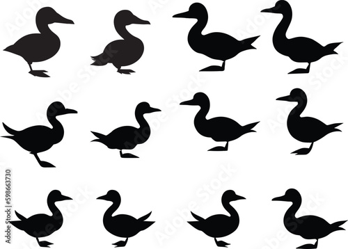 Fototapeta Naklejka Na Ścianę i Meble -  
A black and cute duck silhouette vector is a digital graphic that depicts the outline of a duck in a simplified  way. The vector is created using software such as Adobe Illustrator or