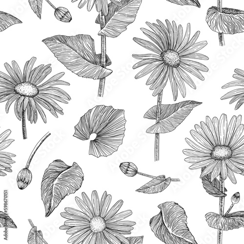 Floral seamless pattern. Background with daisies. Hand-drawn. Graphics. Engraving