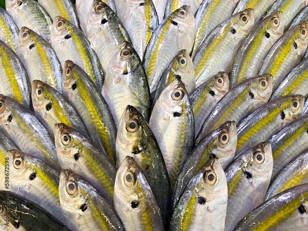Obraz premium Close up yellow banded scad or ikan selar sold on market shelves neatly arranged so satisfying