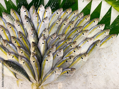 Fresh raw Yellow stripe scad or ikan selar in ice, neatly arranged on the market fish rack photo