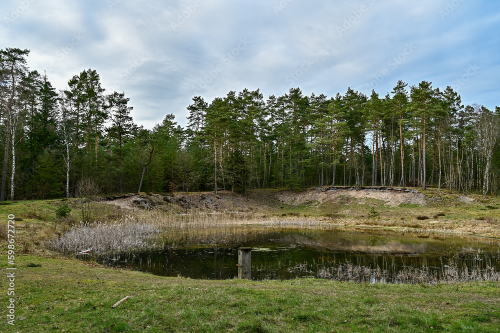 Fototapeta premium Kleiner See mit Bäumen in der Lüneburger Heide bei Wilsede am Wilseder Berg, Lüneburg, Niedersachsen, Deutschland bei blauem Himmel