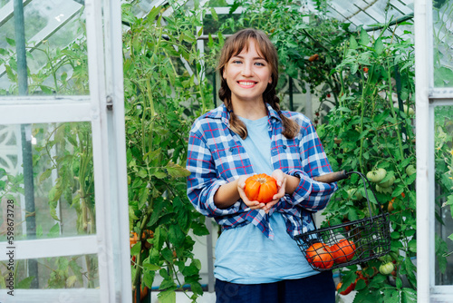 Young smiling woman holding ripe red beef tomato, just picked in green house. Harvest of tomatoes. Urban farming lifestyle. Growing organic vegetables in garden. The concept of food self-sufficiency. photo