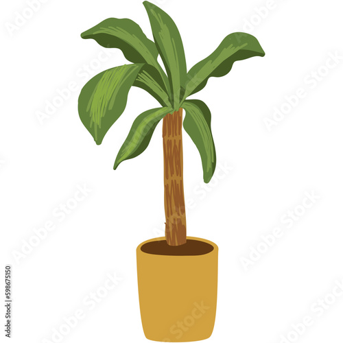 Decorative palm plant in pot vector flowerpot icon