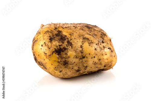 Dirty potato isolated on white background.