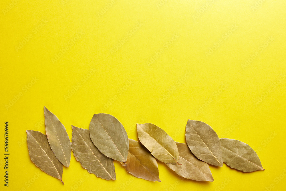 Dried bay leaves on a yellow background. Banner.