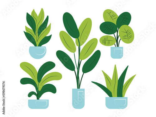 indoor plants, flowerpots in pots, plant set