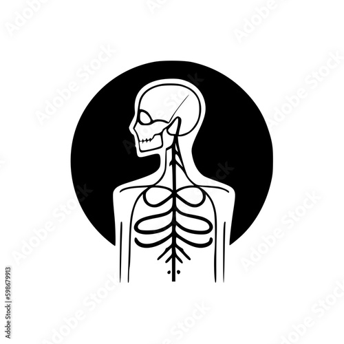 Anatomy - High Quality Vector Logo - Vector illustration ideal for T-shirt graphic