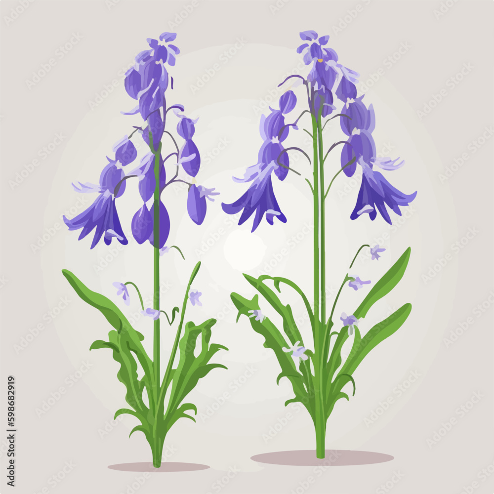These bluebell flower illustrations will add some grace to your design.