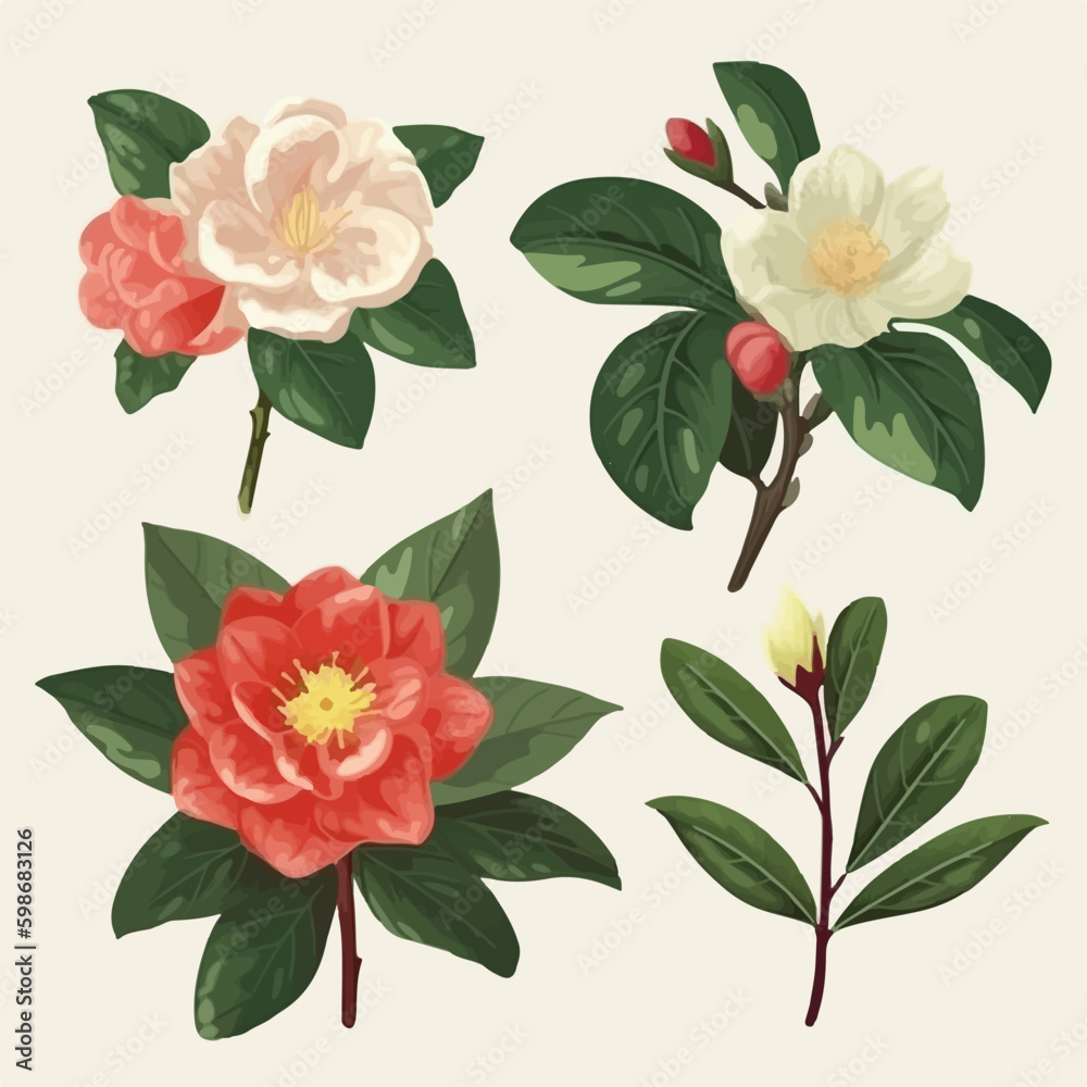 These Camellia flower vectors are perfect for any elegant design.