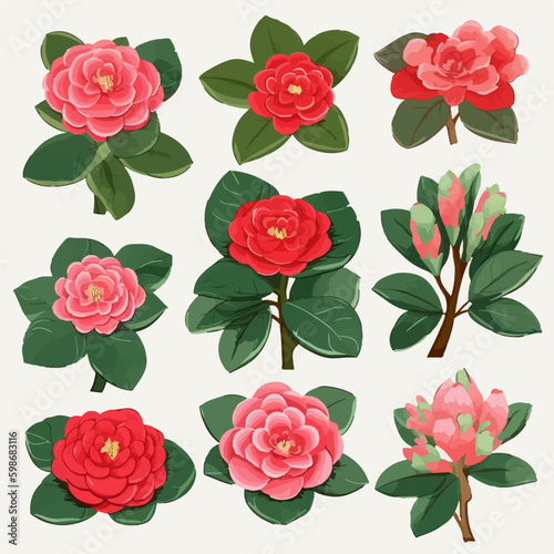 These Camellia flower illustrations are perfect for any spring-themed project. © Llama-World-studio