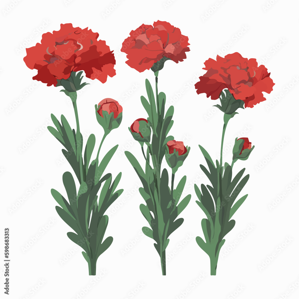 A set of whimsical carnation flower vectors with a playful, cartoonish style. A set of whimsical carnation flower vectors with a playful, cartoonish style.