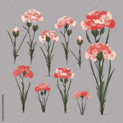 A collection of minimalist carnation flower illustrations in black and white.