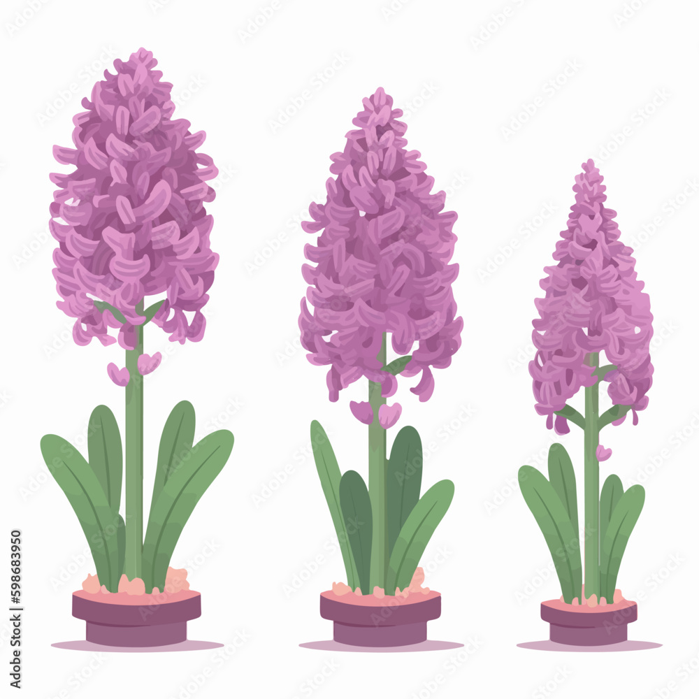 Vector pack featuring a variety of hyacinth flower graphic elements for creative projects. Vector pack featuring a variety of hyacinth flower graphic elements for creative projects.
