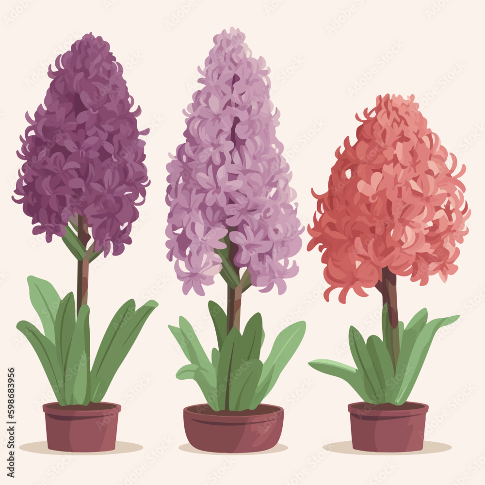 Assortment of modern and trendy hyacinth flower vector designs for a contemporary style. Assortment of modern and trendy hyacinth flower vector designs for a contemporary style.