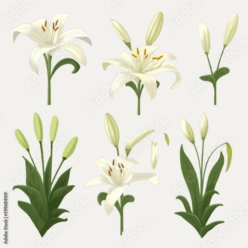 Assortment of stylish lily vector icons for a modern look.