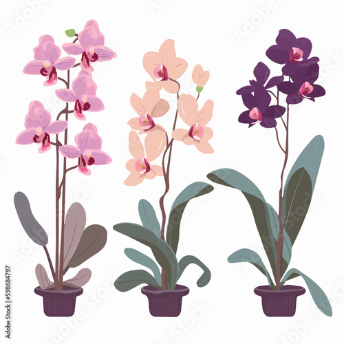 A pack of professionally designed orchid vector graphics.