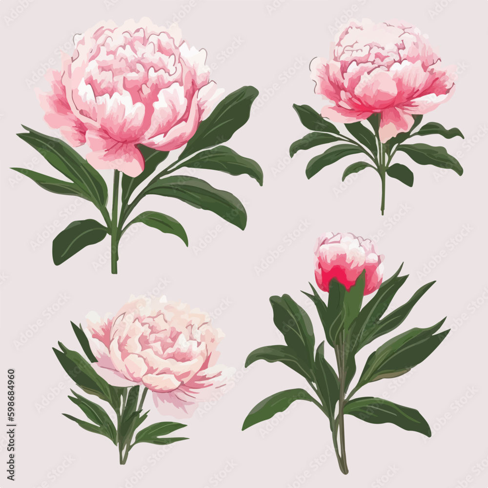 Collection of whimsical peony illustrations in vector format.