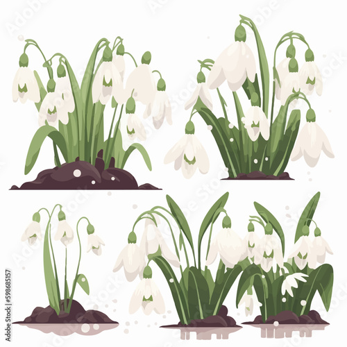A collection of sleek and minimalistic snowdrop illustrations.