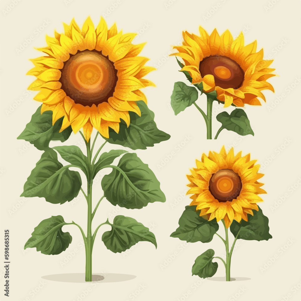 Collection of elegant and sophisticated sunflower vector patterns. Collection of elegant and sophisticated sunflower vector patterns.