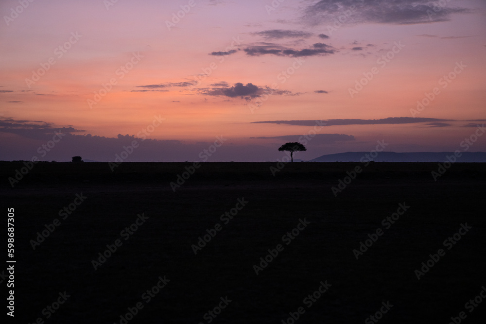 Silhouette view of a colorful sunrise on the African savannah of the Masaai Mara Reserve in Kenya