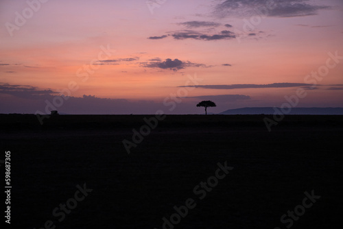 Silhouette view of a colorful sunrise on the African savannah of the Masaai Mara Reserve in Kenya