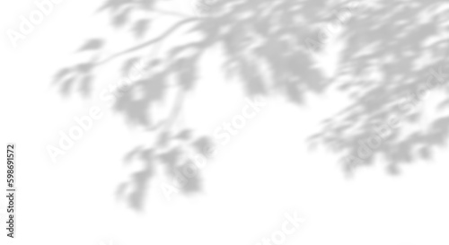 Movement realistic shadow leaves sunshade isolated on transparent backgrounds 3d rendering png