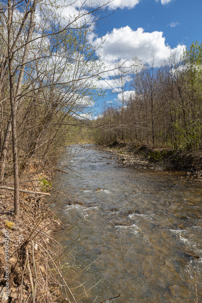 A mountain stream with stormy water flows through the forests in the reserve A mountain stream with stormy water flows through the forests in the reserve