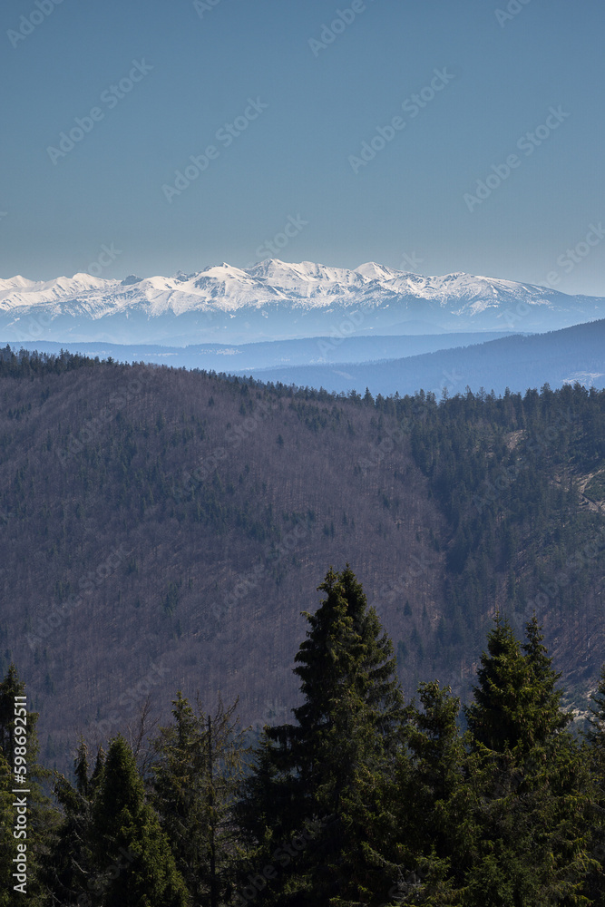 view of the Tatra Mountains from the Żywiec Beskids