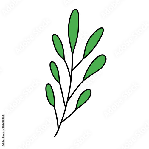 leaf vector green illustrations