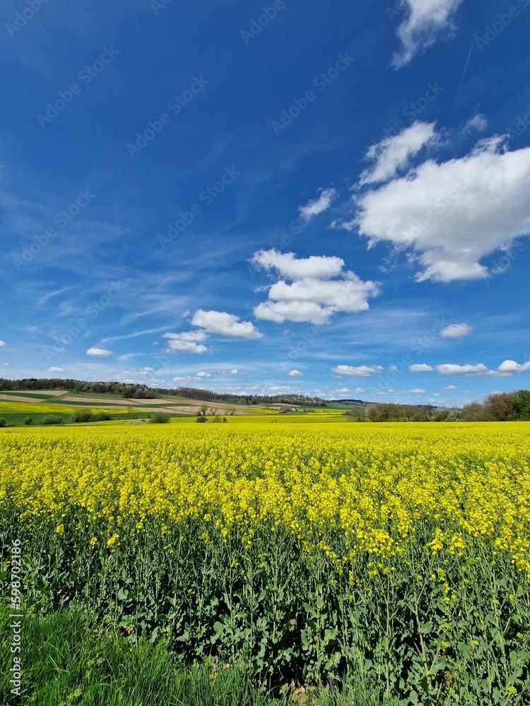 Field of Nature