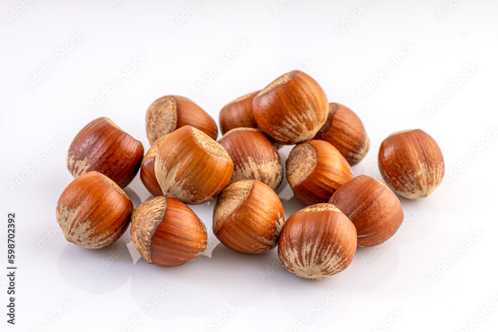 In shell Hazelnut. Studio shoot isolated on white background. In shell Hazelnut. Studio shoot isolated on white background.