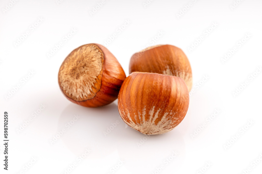In shell Hazelnut. Studio shoot isolated on white background. In shell Hazelnut. Studio shoot isolated on white background.