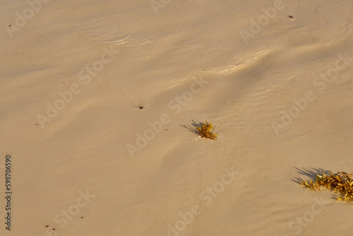 Sand in the desert with a pattern from the wind as a background.