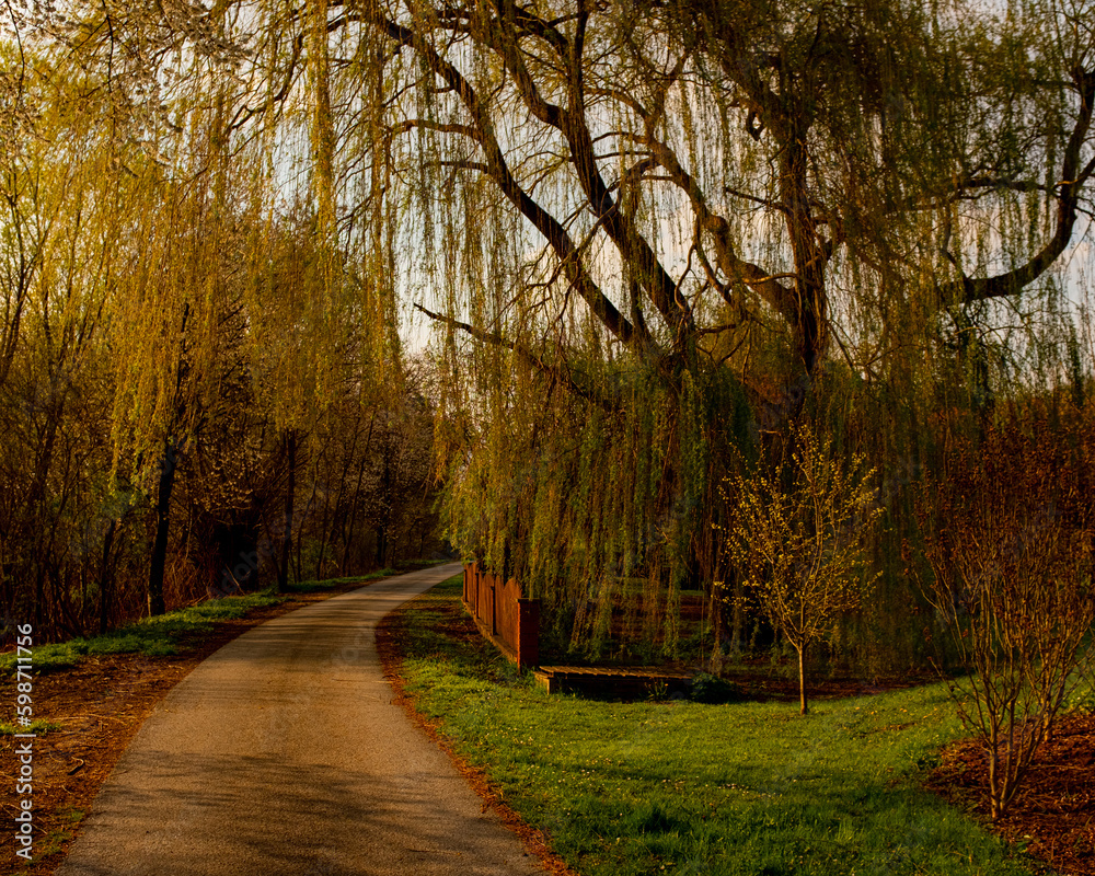 Fototapeta premium Warmer Weg
