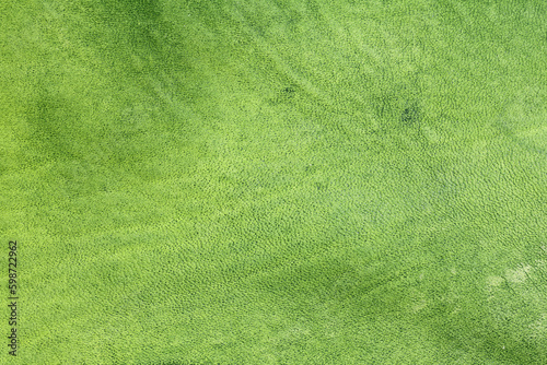 Beautiful green background with leather texture