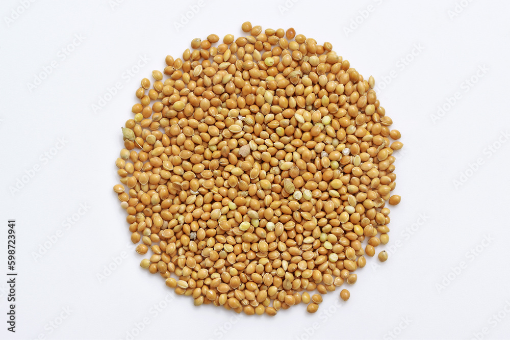 Yellow millet seeds - feed for birds, top view, white background Yellow millet seeds - feed for birds, top view, white background