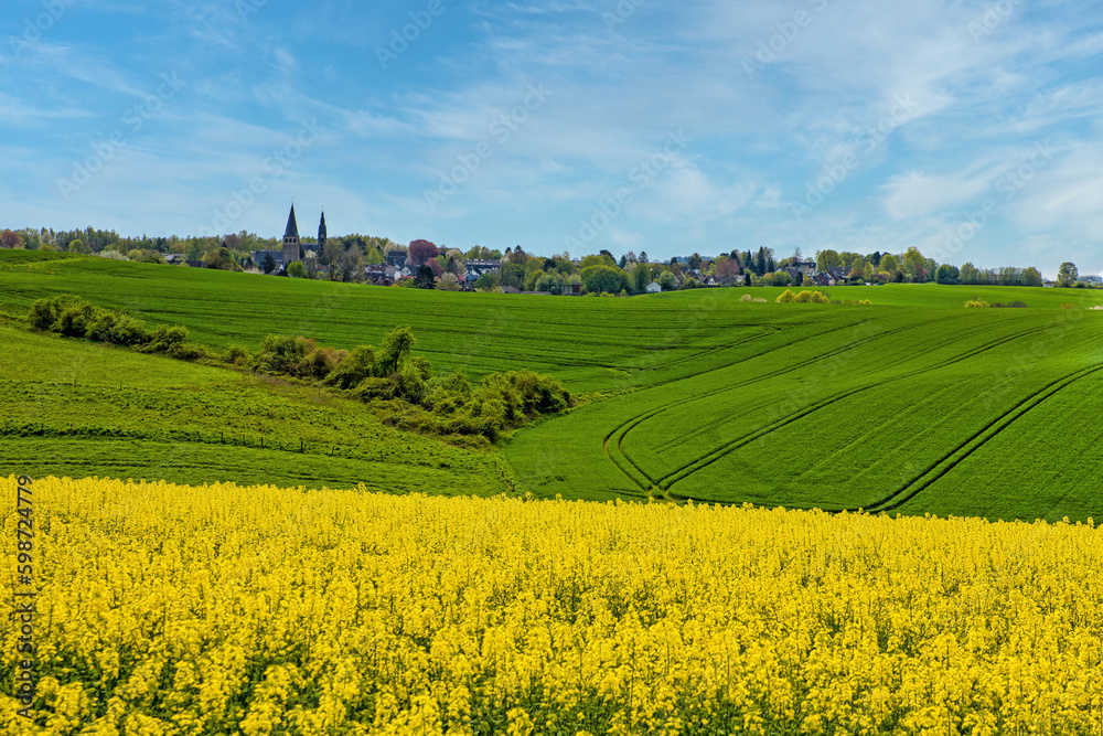 view to ratingen homberg over rapeseed field at spring and cloudy blue sky view to ratingen homberg over rapeseed field at spring and cloudy blue sky