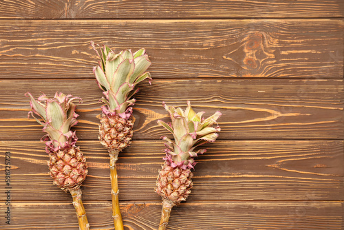 Decorative pineapples on wooden background
