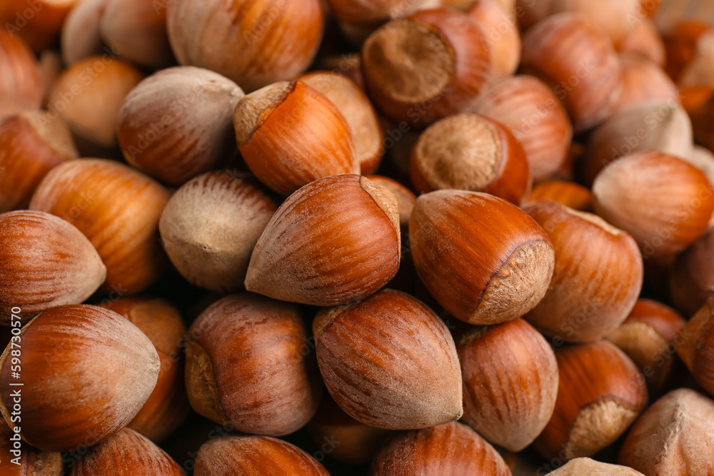 Shelled hazelnuts as background, closeup Shelled hazelnuts as background, closeup
