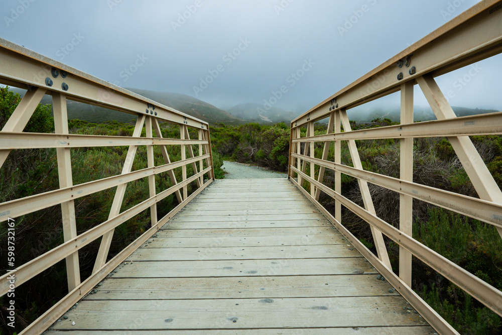 Obraz premium Rustic boardwalk leading through the wilderness and native forest at Montana de Oro State Park, California