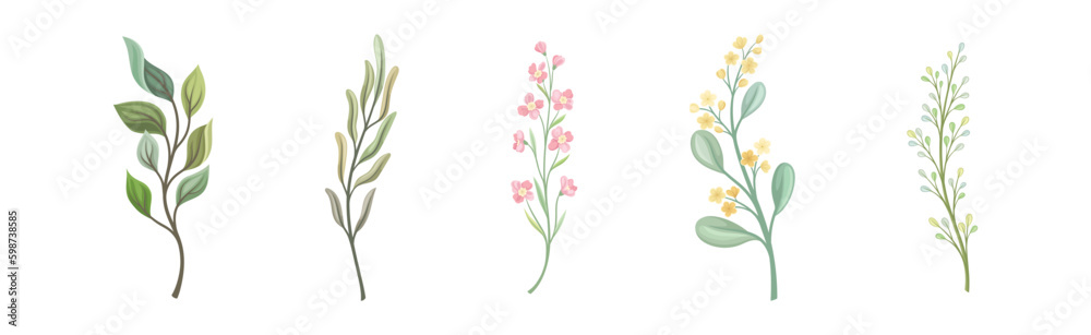 Floral Branches and Twigs with Leafy Stalk or Stem Vector Set Floral Branches and Twigs with Leafy Stalk or Stem Vector Set
