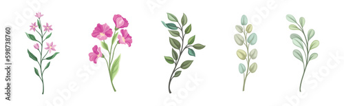 Floral Branches and Twigs with Leafy Stalk or Stem Vector Set