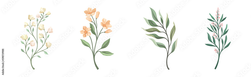 Floral Branches and Twigs with Leafy Stalk or Stem Vector Set