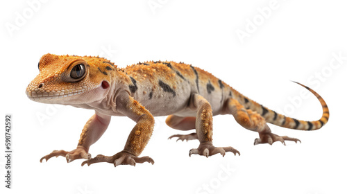 Gecko isolated on transparent background created with generative AI technology