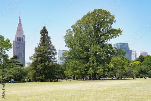 新宿の高層ビル群と緑
