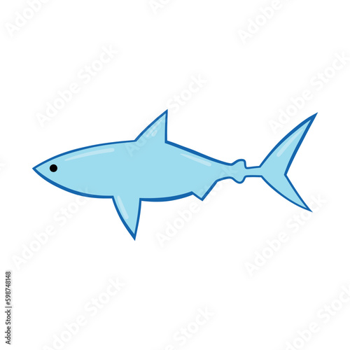 shark isolated on white background