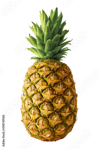 A tropical pineapple isolated on empty background
